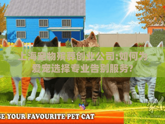 上海宠物殡葬创业公司:如何为爱宠选择专业告别服务?