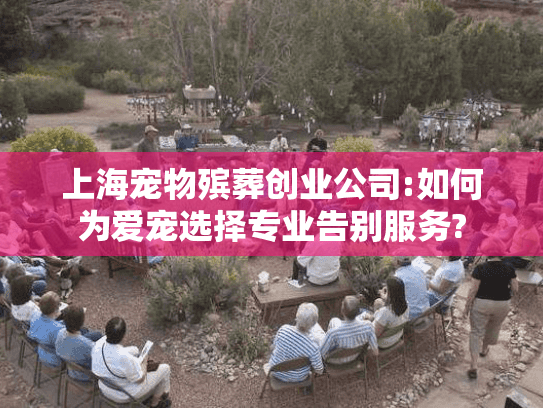 上海宠物殡葬创业公司:如何为爱宠选择专业告别服务?