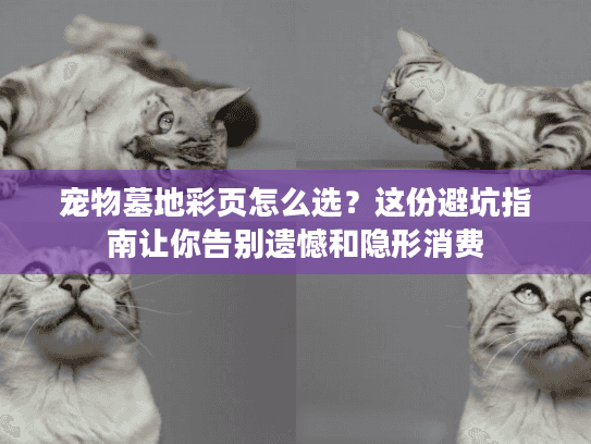 宠物墓地彩页怎么选？这份避坑指南让你告别遗憾和隐形消费
