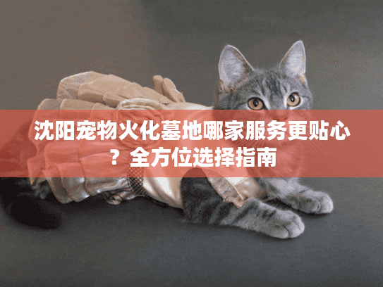 沈阳宠物火化墓地哪家服务更贴心？全方位选择指南