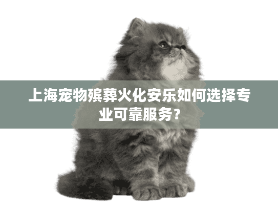 上海宠物殡葬火化安乐如何选择专业可靠服务？