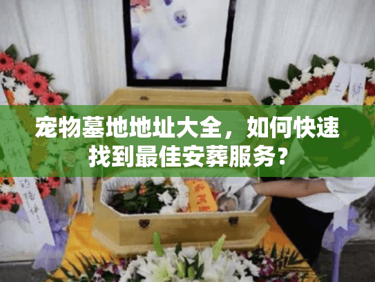 宠物墓地地址大全，如何快速找到最佳安葬服务？