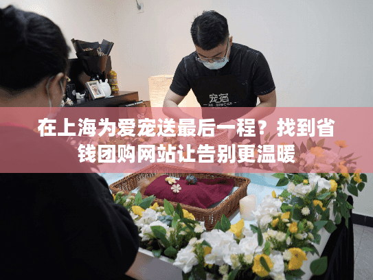 在上海为爱宠送最后一程？找到省钱团购网站让告别更温暖