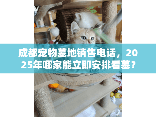 成都宠物墓地销售电话，2025年哪家能立即安排看墓？