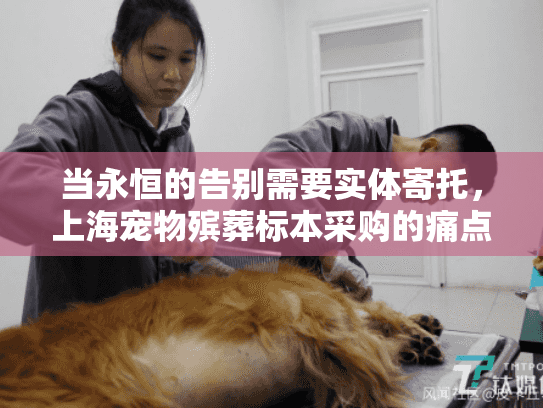 当永恒的告别需要实体寄托，上海宠物殡葬标本采购的痛点与解决方案