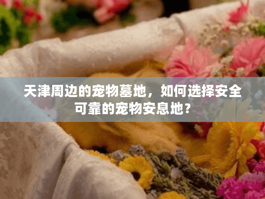 天津周边的宠物墓地，如何选择安全可靠的宠物安息地？