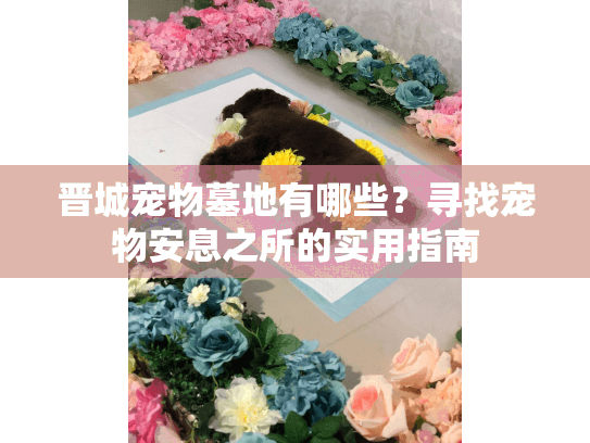 晋城宠物墓地有哪些?寻找宠物安息之所的实用指南 晋城宠物墓地有哪些?寻找宠物安息之所的实用指南