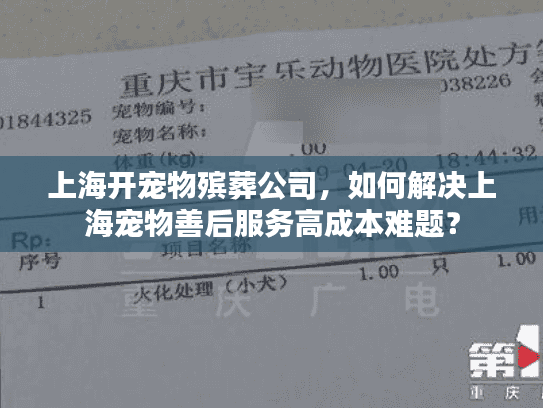 上海开宠物殡葬公司，如何解决上海宠物善后服务高成本难题？
