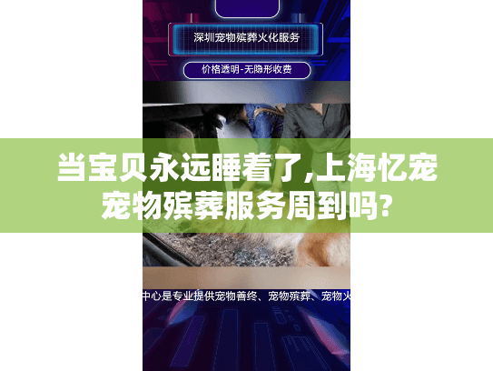 当宝贝永远睡着了,上海忆宠宠物殡葬服务周到吗?