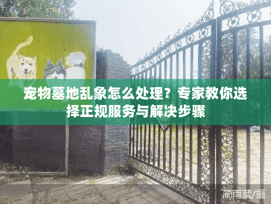 宠物墓地乱象怎么处理？专家教你选择正规服务与解决步骤