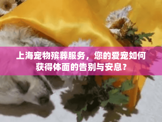 上海宠物殡葬服务，您的爱宠如何获得体面的告别与安息？