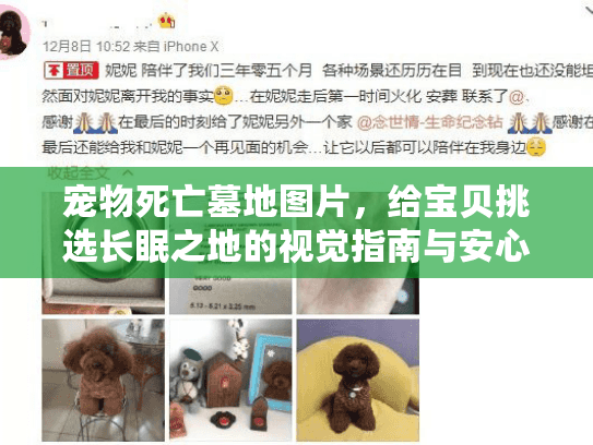 宠物死亡墓地图片，给宝贝挑选长眠之地的视觉指南与安心指南