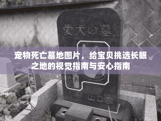 宠物死亡墓地图片，给宝贝挑选长眠之地的视觉指南与安心指南