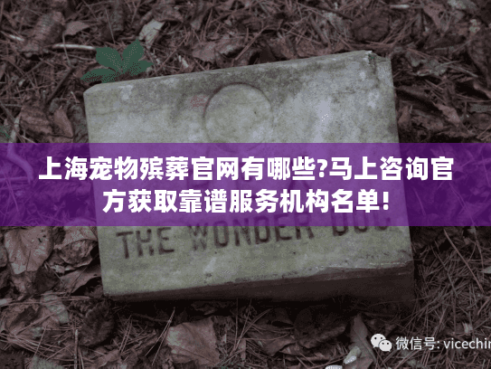 上海宠物殡葬官网有哪些?马上咨询官方获取靠谱服务机构名单!
