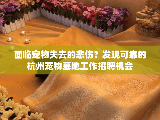面临宠物失去的悲伤？发现可靠的杭州宠物墓地工作招聘机会