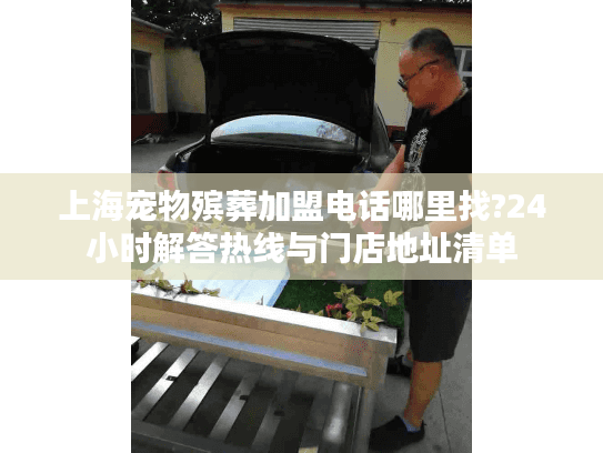 上海宠物殡葬加盟电话哪里找?24小时解答热线与门店地址清单
