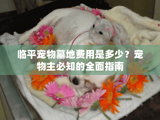 临平宠物墓地费用是多少？宠物主必知的全面指南