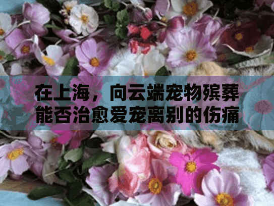 在上海，向云端宠物殡葬能否治愈爱宠离别的伤痛？