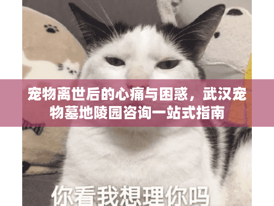 宠物离世后的心痛与困惑，武汉宠物墓地陵园咨询一站式指南