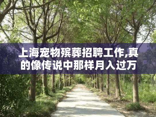 上海宠物殡葬招聘工作,真的像传说中那样月入过万吗?