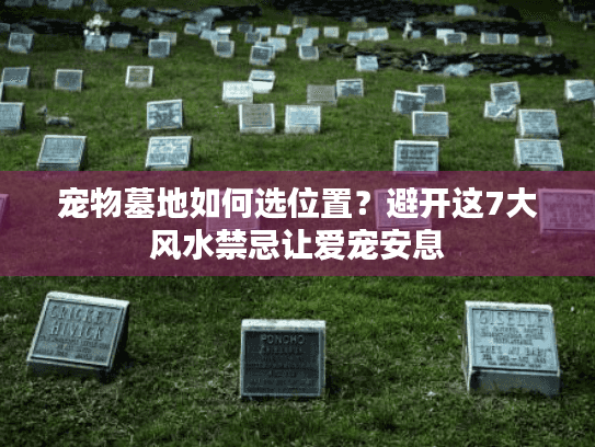 宠物墓地如何选位置？避开这7大风水禁忌让爱宠安息