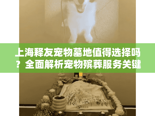 上海释友宠物墓地值得选择吗？全面解析宠物殡葬服务关键点