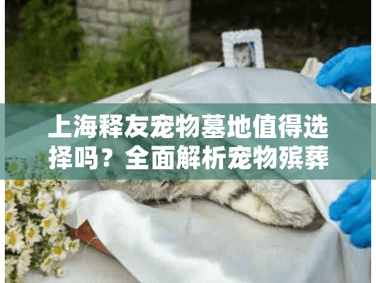 上海释友宠物墓地值得选择吗？全面解析宠物殡葬服务关键点