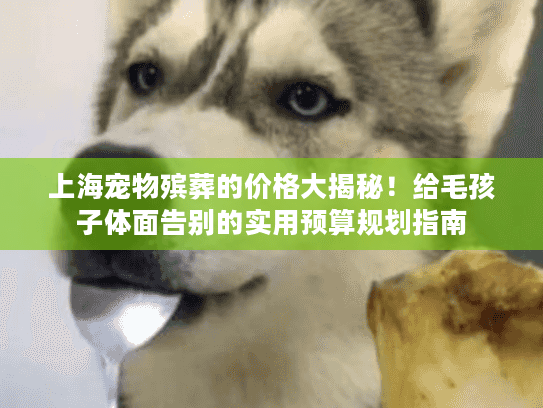 上海宠物殡葬的价格大揭秘！给毛孩子体面告别的实用预算规划指南