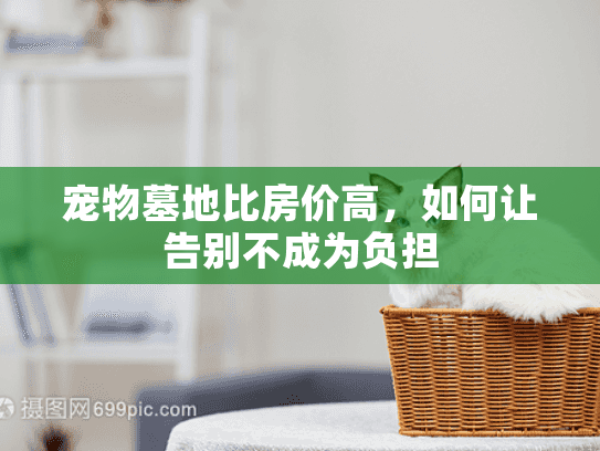 宠物墓地比房价高，如何让告别不成为负担