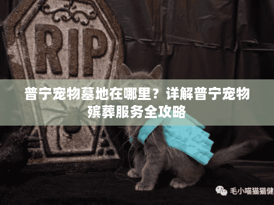 普宁宠物墓地在哪里？详解普宁宠物殡葬服务全攻略