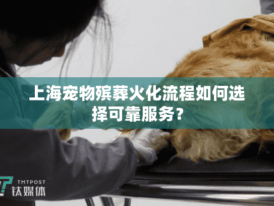 上海宠物殡葬火化流程如何选择可靠服务？