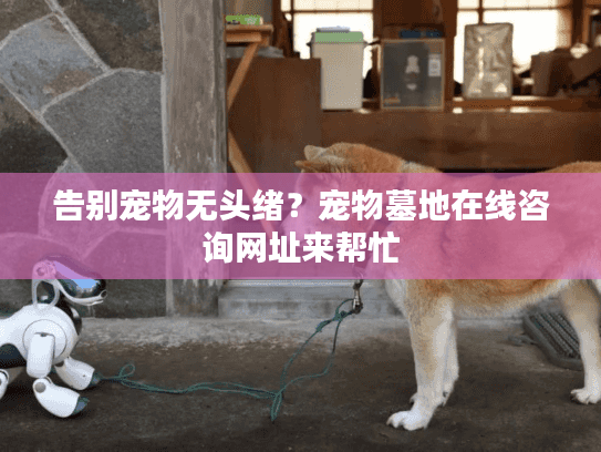 告别宠物无头绪？宠物墓地在线咨询网址来帮忙
