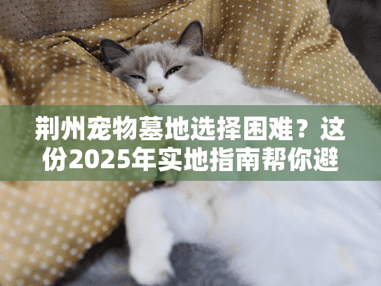 荆州宠物墓地选择困难?这份2025年实地指南帮你避坑 荆州宠物墓地选择困难?这份2025年实地指南帮你避坑