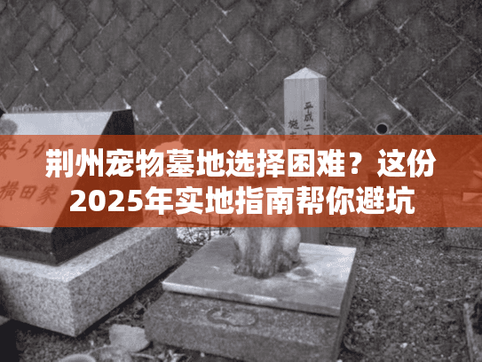 荆州宠物墓地选择困难？这份2025年实地指南帮你避坑