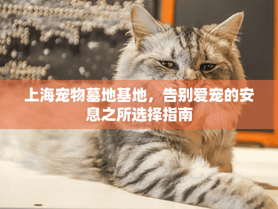 上海宠物墓地基地,告别爱宠的安息之所选择指南 上海宠物墓地基地,告别爱宠的安息之所选择指南