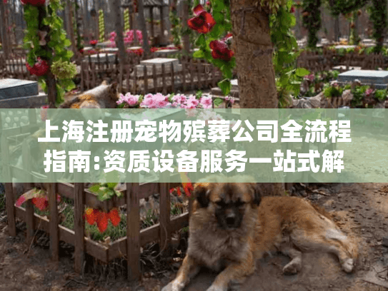 上海注册宠物殡葬公司全流程指南:资质设备服务一站式解析