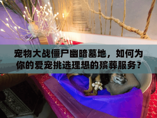 宠物大战僵尸幽暗墓地，如何为你的爱宠挑选理想的殡葬服务？