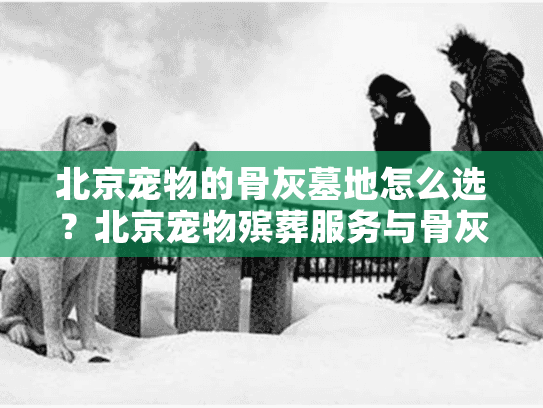 北京宠物的骨灰墓地怎么选？北京宠物殡葬服务与骨灰安置方案全解析