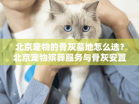 北京宠物的骨灰墓地怎么选？北京宠物殡葬服务与骨灰安置方案全解析