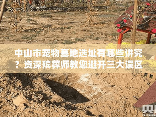 中山市宠物墓地选址有哪些讲究？资深殡葬师教您避开三大误区