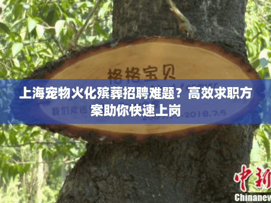 上海宠物火化殡葬招聘难题？高效求职方案助你快速上岗