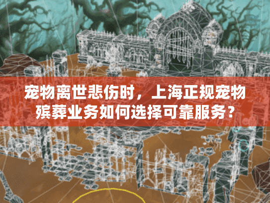 宠物离世悲伤时，上海正规宠物殡葬业务如何选择可靠服务？