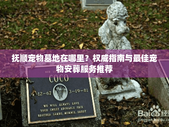抚顺宠物墓地在哪里？权威指南与最佳宠物安葬服务推荐