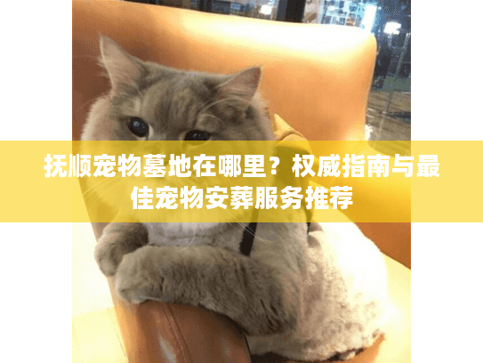 抚顺宠物墓地在哪里？权威指南与最佳宠物安葬服务推荐