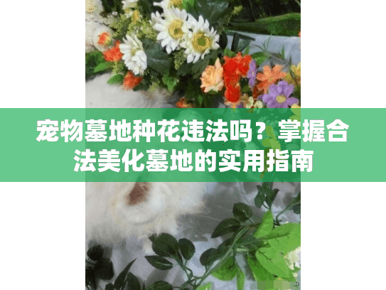 宠物墓地种花违法吗?掌握合法美化墓地的实用指南 宠物墓地种花违法吗?掌握合法美化墓地的实用指南