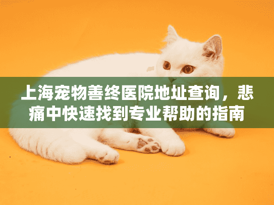 上海宠物善终医院地址查询，悲痛中快速找到专业帮助的指南