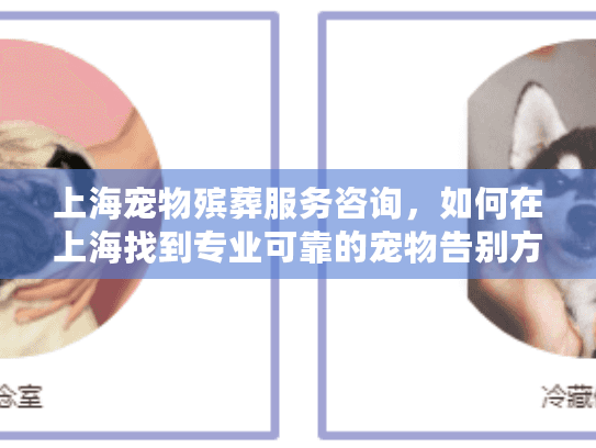 上海宠物殡葬服务咨询，如何在上海找到专业可靠的宠物告别方案？