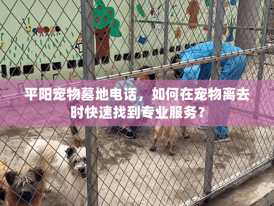 平阳宠物墓地电话，如何在宠物离去时快速找到专业服务？