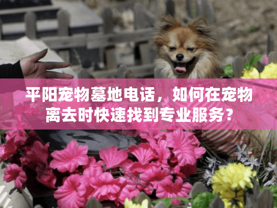 平阳宠物墓地电话，如何在宠物离去时快速找到专业服务？