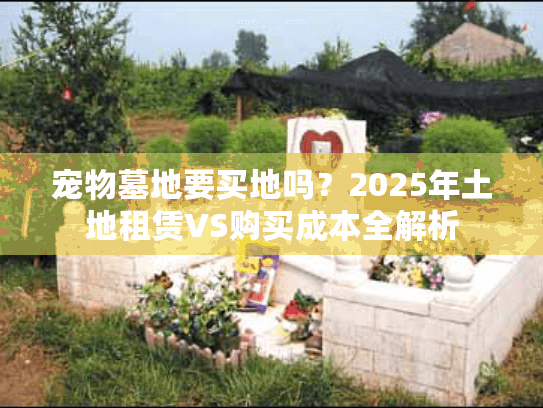 宠物墓地要买地吗？2025年土地租赁VS购买成本全解析